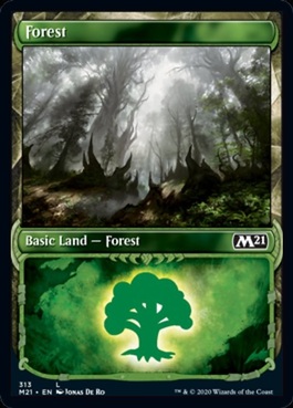 Garruk Forest
