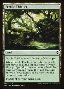 Fertile Thicket